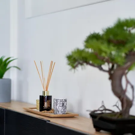 Luxy * טורמולינוס